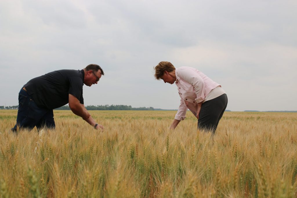 Farmer Curtis McRae shows federal Agriculture Minister Marie-Claude Bibeau his drought-stricken crops. 