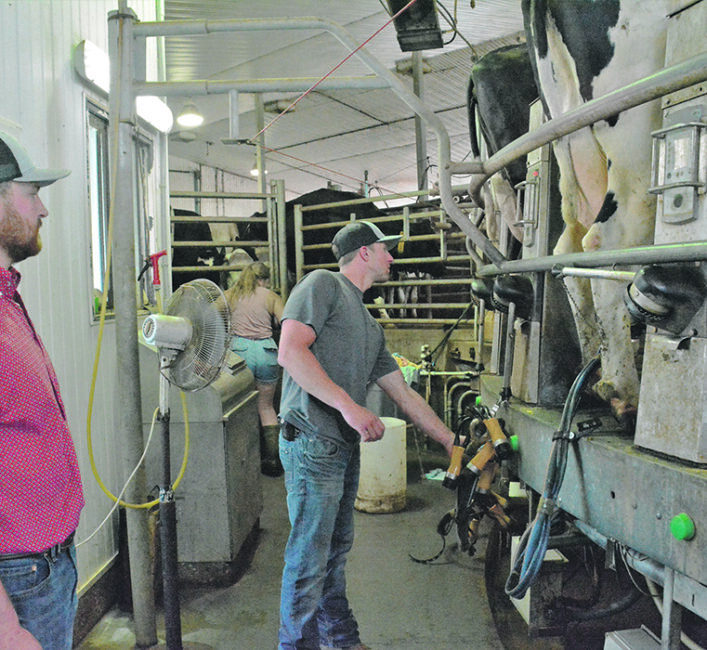 Hatview Dairy makes it work in southern Alta.