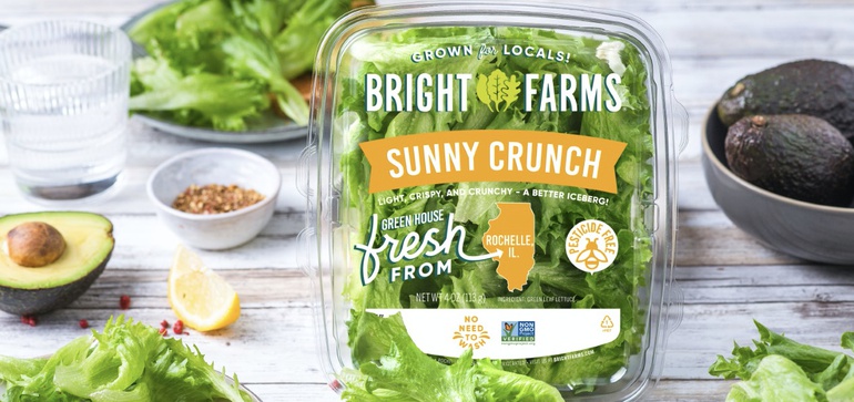 BrightFarms recalls packaged salad greens for possible salmonella contamination