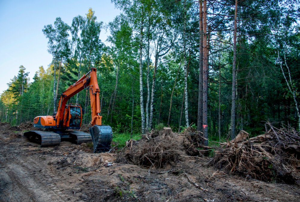 The bylaw bans the clear-cutting of woodlots and woodlands to address environmental issues in the county.