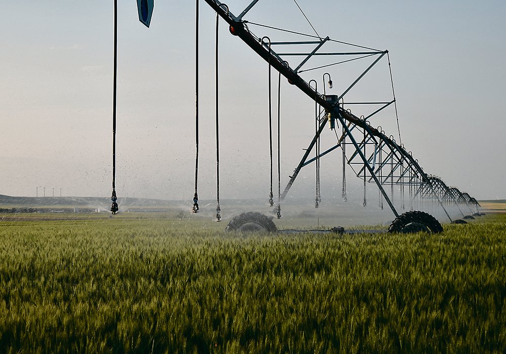 Producers who irrigate say this year shows the value of having access to water. 