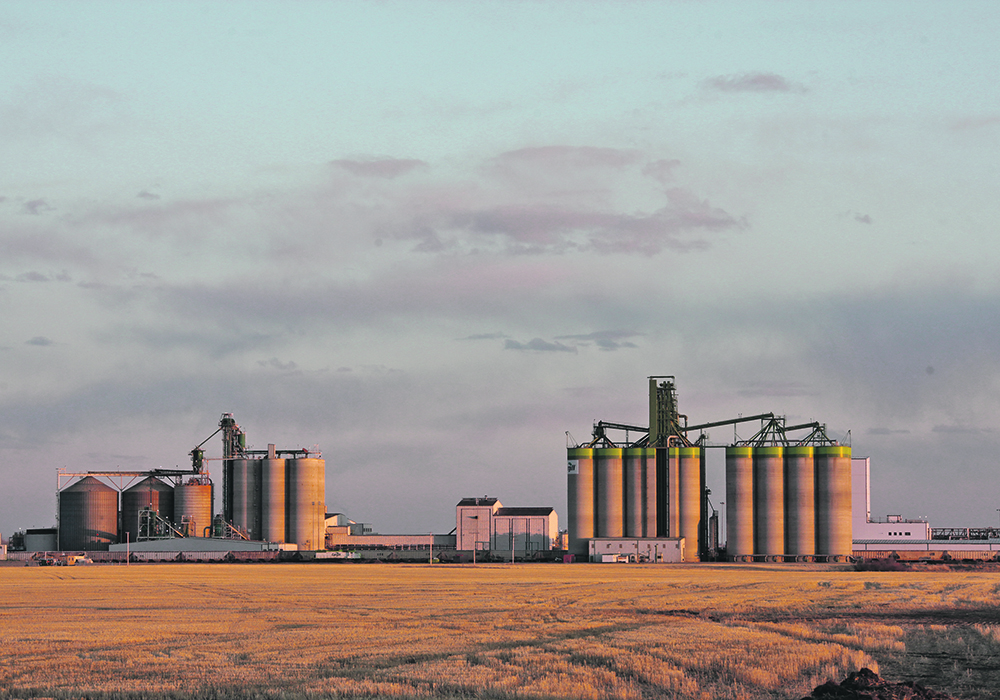 The grain industry expects that the new canola crushing plant capacity planned for Saskatchewan will increase competition for the crop. 