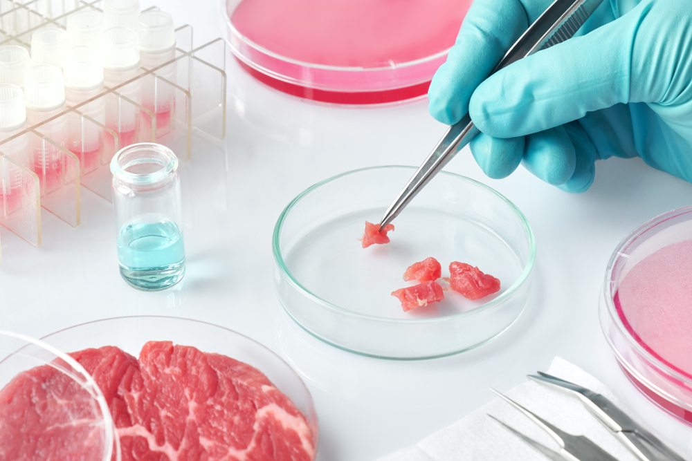 Nestlé onderzoekt potentieel voor kweekvlees