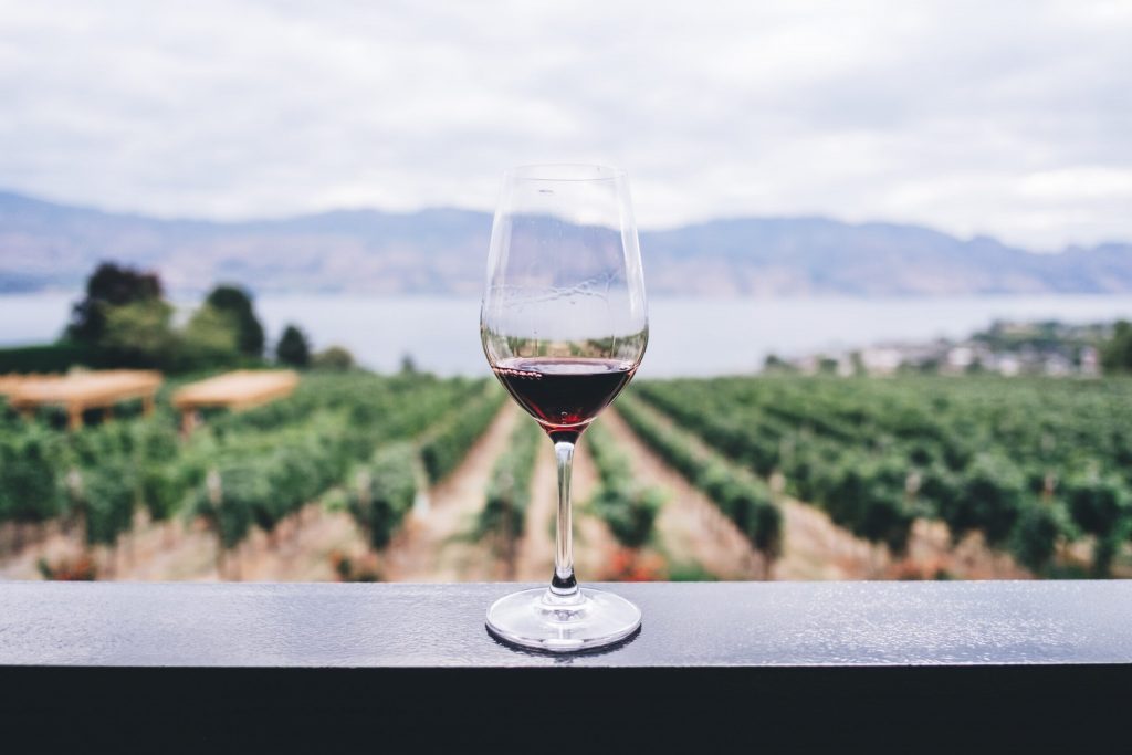 Province launches Winery Agri-Tourism Relief Initiative