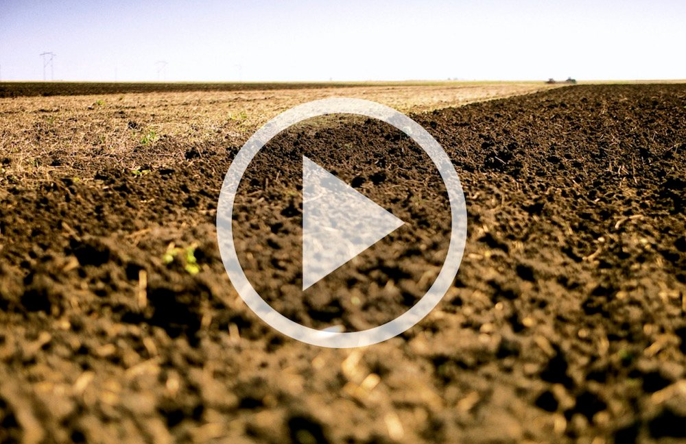 VIDEO: Improving soil health in the field