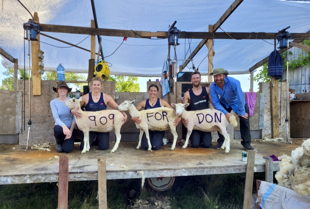 Shearers Amber Petersen, Pauline Bolay and Jean-Michel Popik set a shed record of 909 sheep shorn for Waupoos Island Sheep, owned by Liz and Matt Fleguel. The shearers donated part of their wages to a GoFundMe for colleague Don Metheral, who has been unable to work due to illness.
