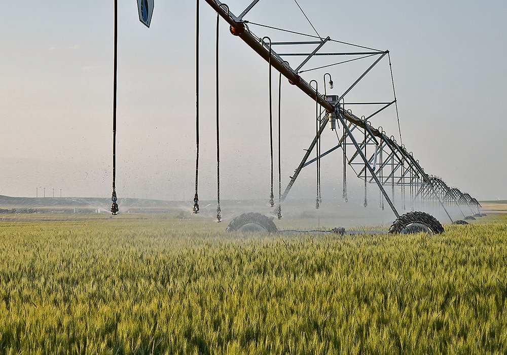 Officials say Alberta’s irrigation systems, which convey water from the rivers that form the South Saskatchewan Basin, did well this year to keep up with demand. 