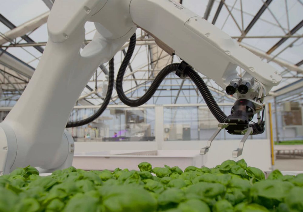 Iron Ox uses robots that are integrated with a hydroponic system consuming 90 percent less water than traditional farms, said CEO Brandon Alexander. 