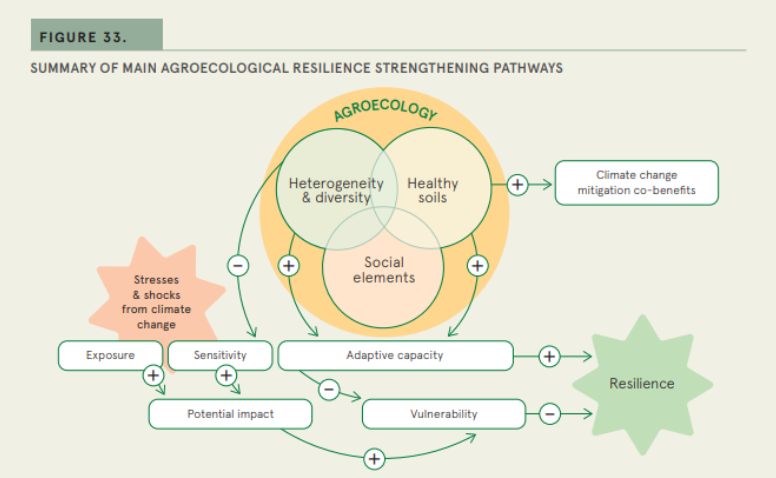 The circular reinforcement of agroecology.