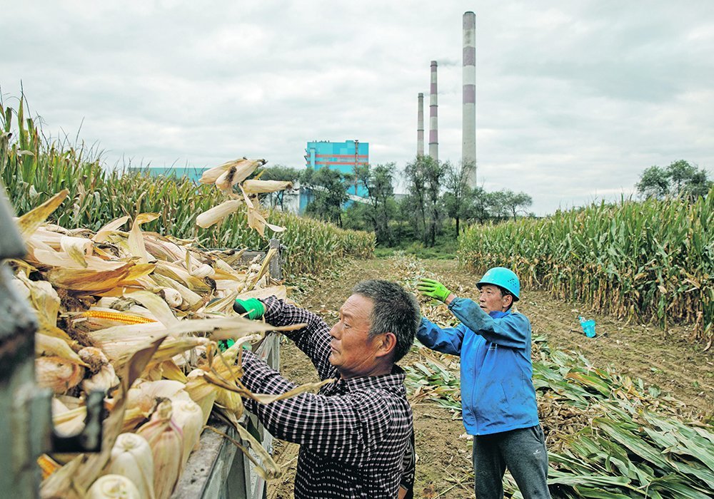 Corn is the top feedstock for China’s ethanol sector, followed by rice, cassava and wheat. The country’s production plants are expected to consume 4.07 million tonnes of corn in 2021. 