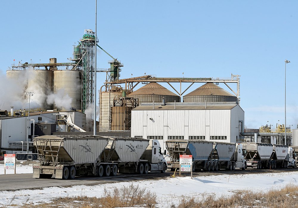 A grower delivered 1,800 bushels of canola to the Cargill’s crush plant in Clavet, Sask., on July 30 and was owed $34,000 to $35,000 after dockage deductions. He didn’t receive his cheque until almost five weeks later at the end of August. 