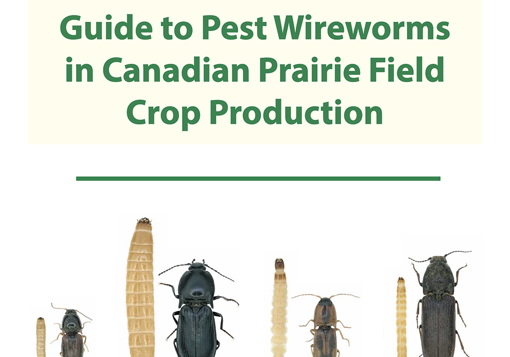 The 86-page document answers questions like: what are wireworms, what types of wireworms exist on the Prairies and what damage do they cause? 