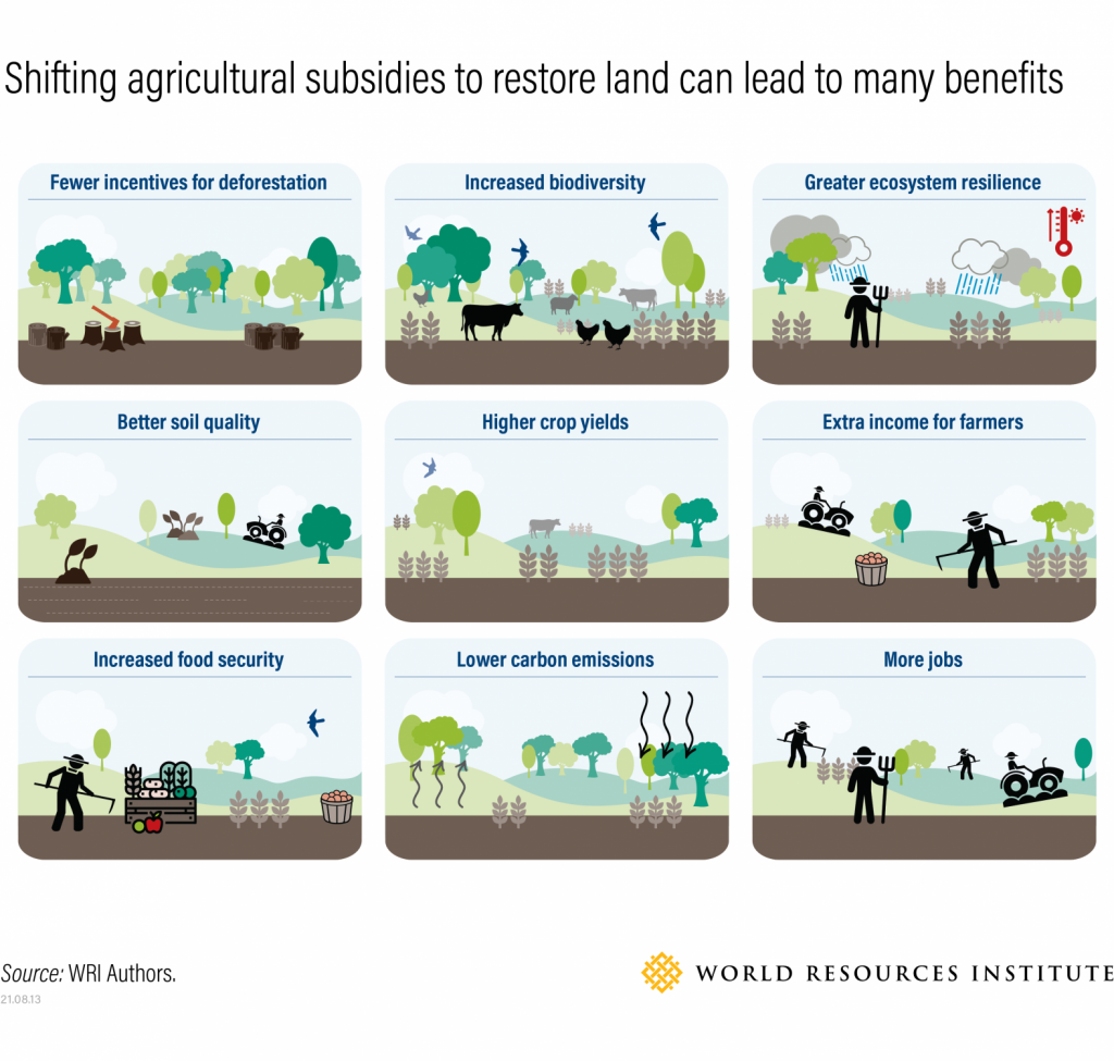 a diagram showing how shifting agricultural subsidies to restore land can lead to many benefits