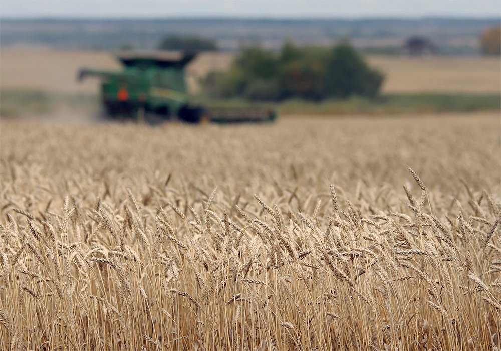 The country sees the harvest at 16 million tonnes of grains, up from a forecast last month of 15.3 million, and exports at 6 million to 6.5 million tonnes, down from an earlier forecast of 6.5 million to 7.0 million, officials said. 