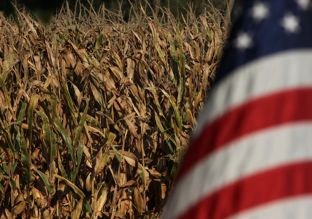 U.S. corn to supplement tight Canadian feed supplies