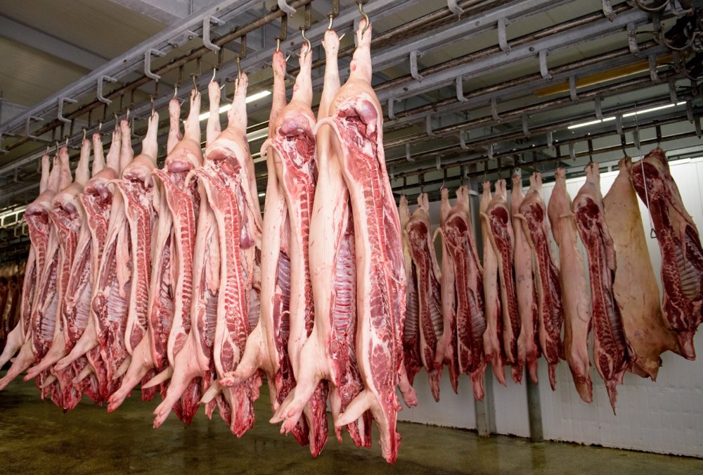 U.S. seeks to protect pork exports if African swine fever hits territories