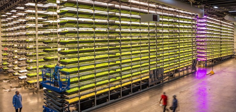 AeroFarms calls off SPAC deal after funding dries up