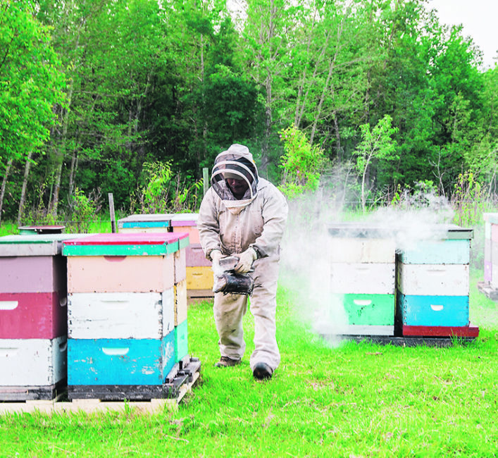 Drought expected to affect honey production