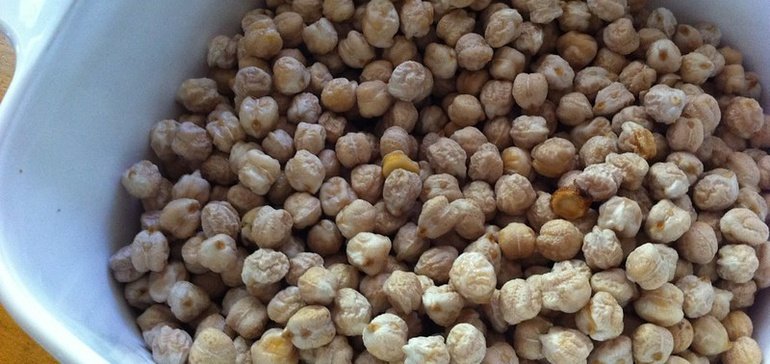 InnovoPro debuts chickpea-based texturized vegetable protein