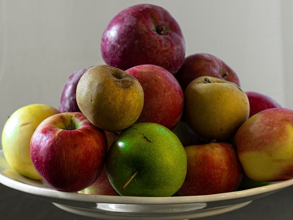 Karen Barnaby: Apples’ versatility not merely sweet, but also savoury