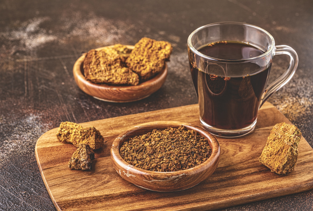 Chaga is a functional mushroom species that offers immune-boosting benefits. It can be ground and added to foods and beverages.