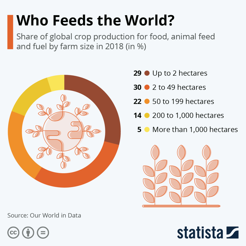 This chart shows the share of global crop production by farm size.