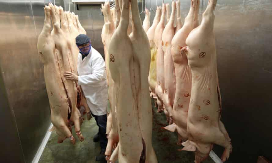 Butcher and small abattoir owner John Mettrick walks between pig carcasses inside a refrigerator at his premises in Glossop, Derbyshire, England.