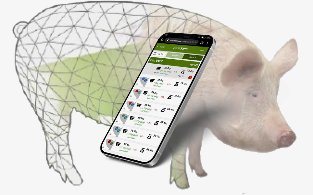 Use of precision livestock technology such as Farmsee can manage pigs individually using real-time data.
