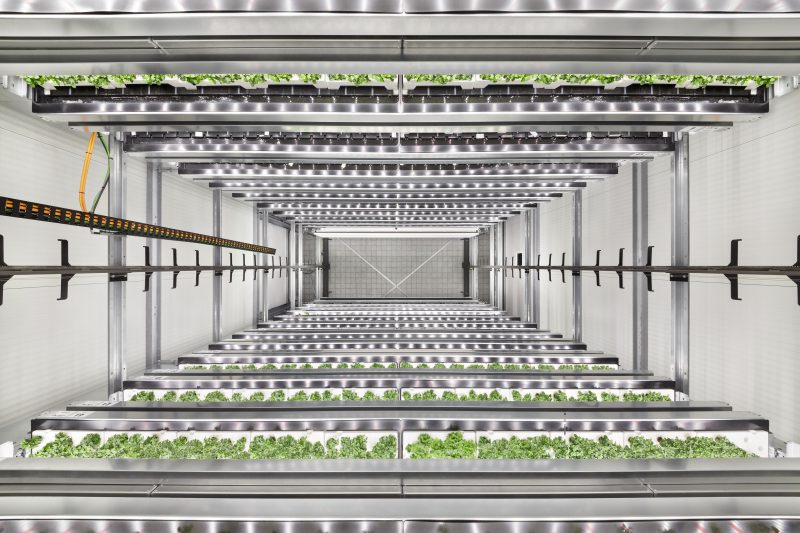 Infarm raises $200M to accelerate global expansion of vertical farms