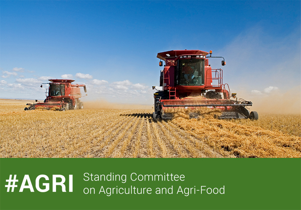 The federal standing committee on agriculture will meet Thursday to elect a chair and begin its work. 