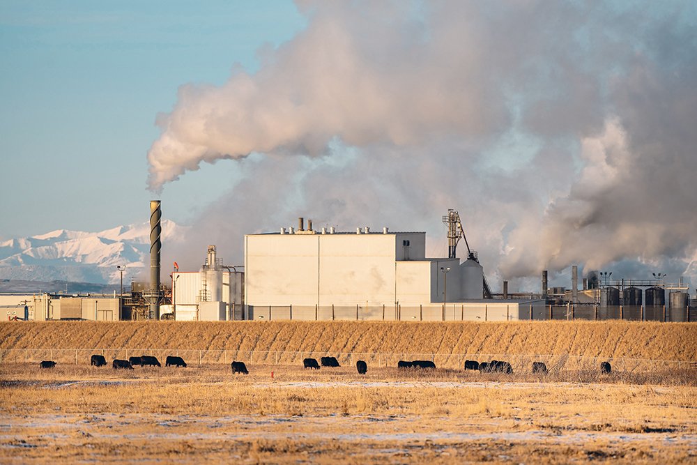 A vote in favour of a new collective agreement between Cargill and its staff at the High River, Alta., beef packing facility ends speculation about disruptions in the beef business for Canada this fall.  