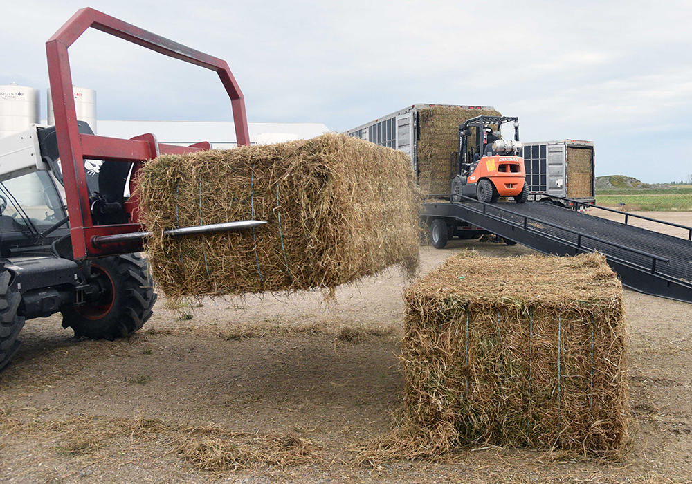 Hay West was initially launched nearly two decades ago during the last major drought to affect cattle producers on the Prairies and was followed by the Hay East program in 2012 to reciprocate the help from fellow producers to their eastern counterparts.  