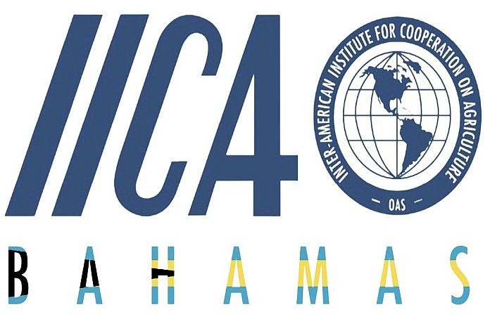 IICA continues to support The Bahamas to advance, enhance agricultural sector