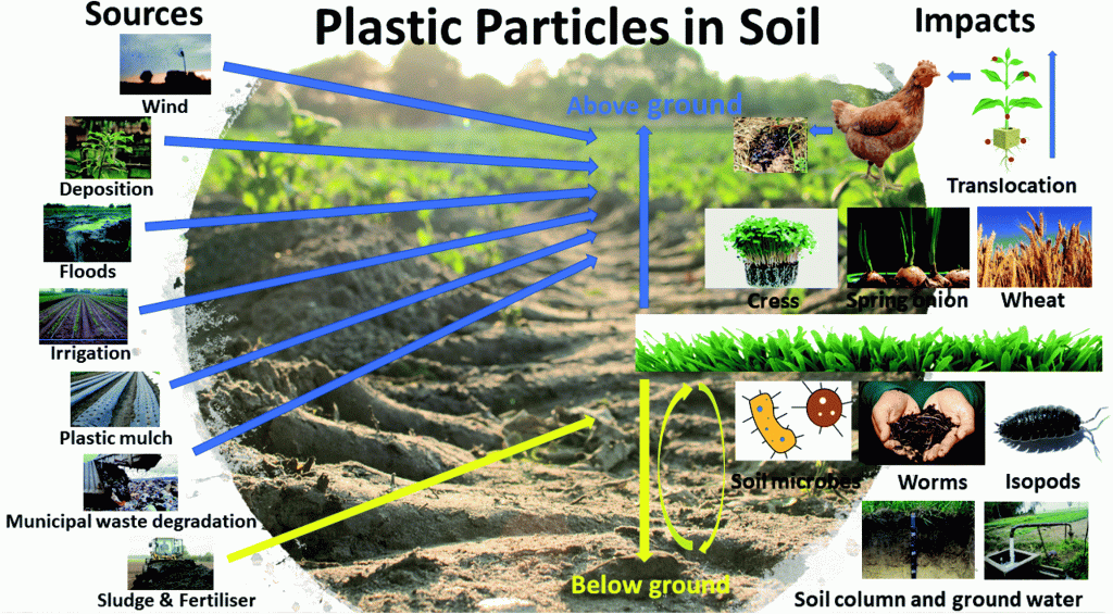 an image showing the effects of microplastics in the soil 