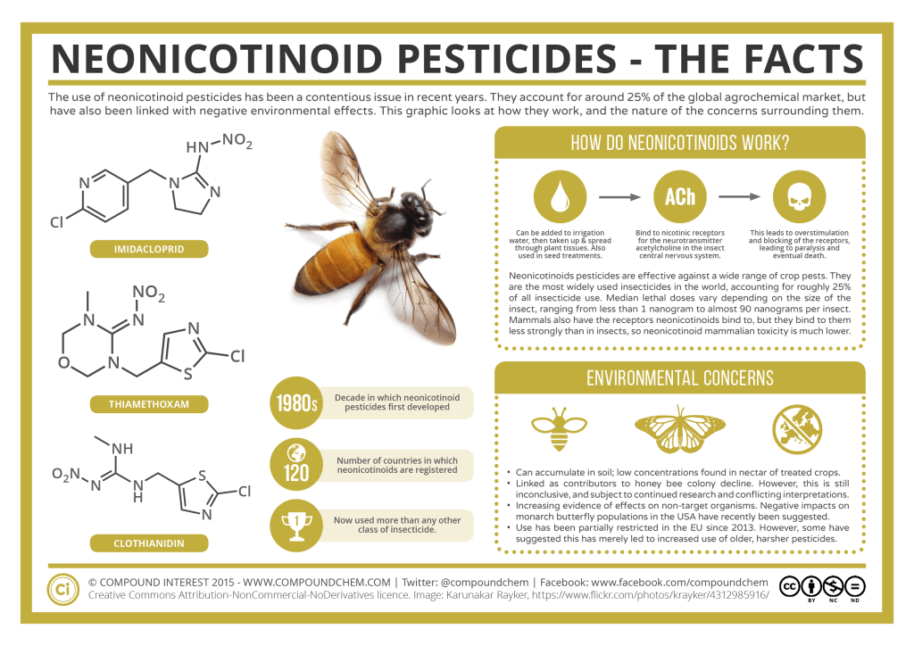 an infographic explains what Neonicotinoids are
