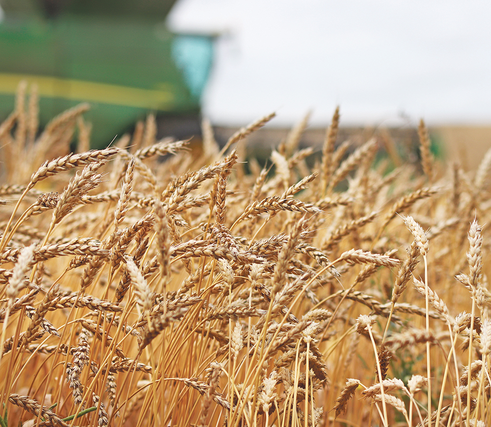 This year marks the largest increase in the grains index since July 2008. Robust demand and tightening supplies in the western provinces strengthened both wheat and barley prices in 2021.  