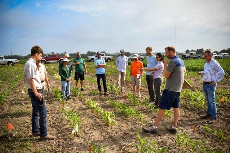 Researchers from USDA Agricultural Research Service, University of Illinois, and the private sector discuss the first public report of severe tolpyralate sensitivity in corn.