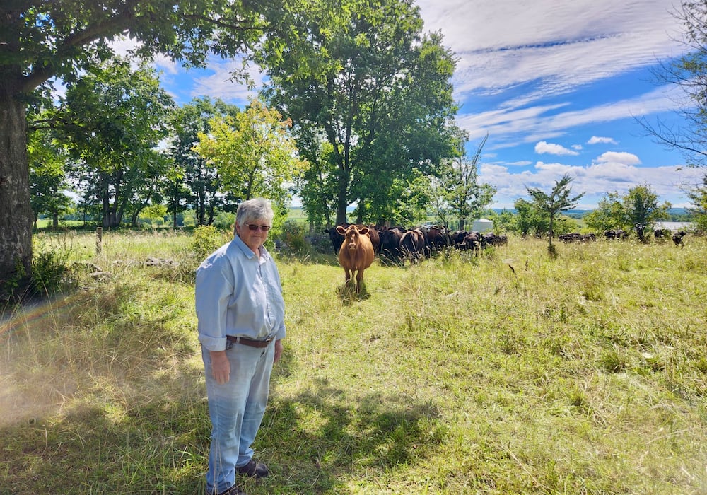 Ann Clark offers custom grazing at her farm in Warkworth, Ont. She says she has moved approximately 30 Angus cow-calf pairs, plus a bull, between 150 and 200 times per pasture season for 13 years.