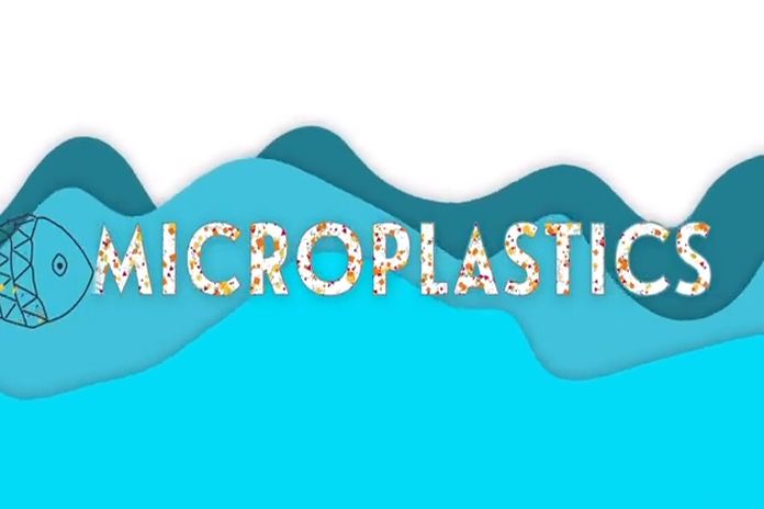 Government of Canada funding research on the health risks of microplastics