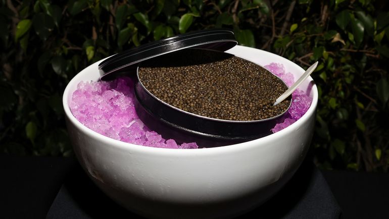 Modern Plant Based Foods taps into caviar craze