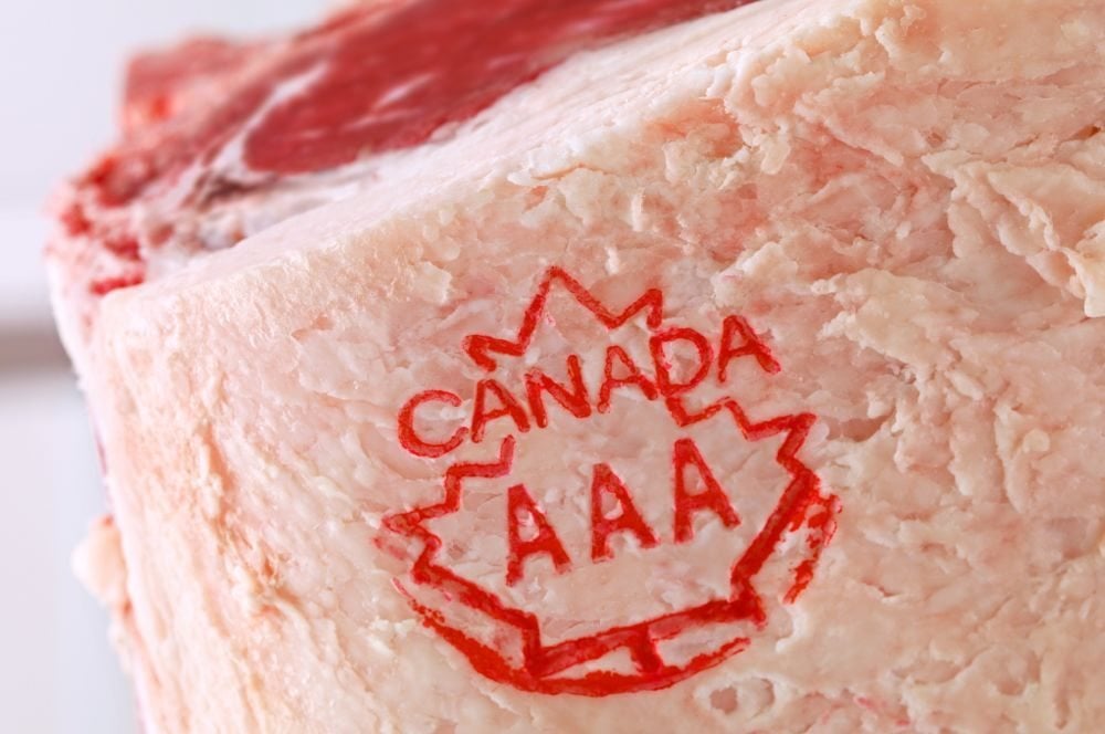 The CCA is working with the Canadian Food Inspection Agency and the Canadian Beef Research Council on a study of the risk of Canadian specified risk materials.