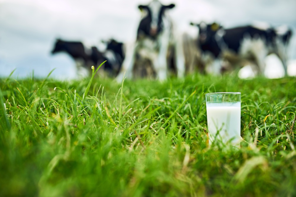 Editorial: Moo makes milk – or does it?