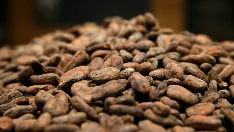 Surging cocoa prices could lead to Valentine’s Day sticker shock