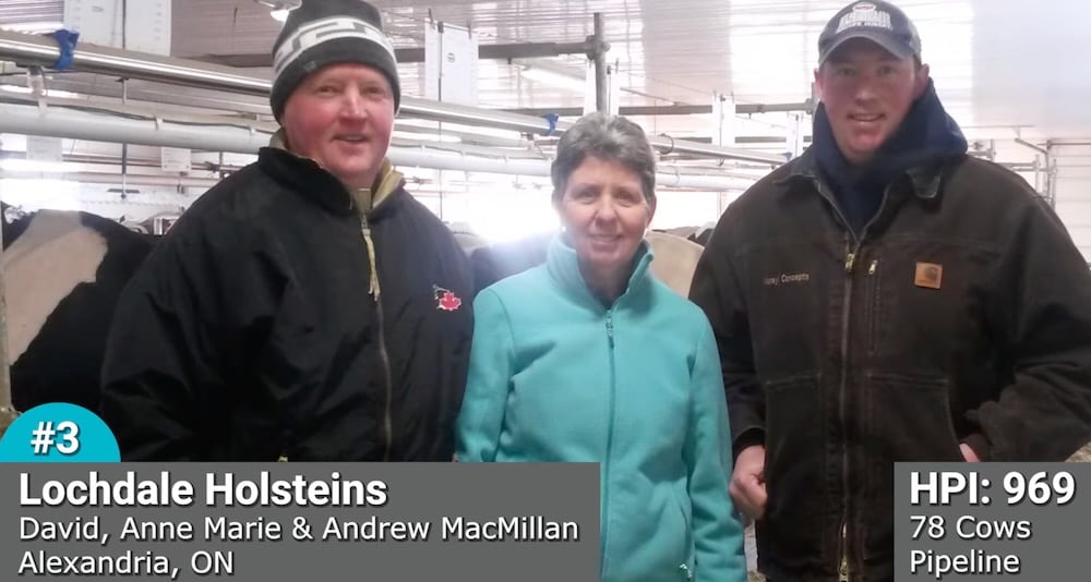 Lochdale Holsteins of Alexandria, Ont. was third nationally in Lactanet's 2023 awards. The farm is run by David, Anne Marie and Andrew MacMillan.