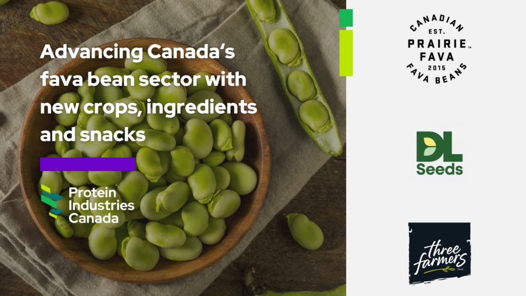 Protein Industries Canada invests in fava beans production to support food mfg.