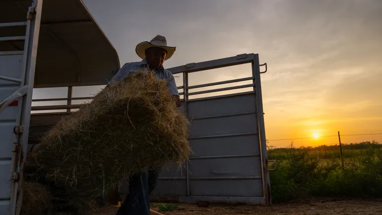 Biden admin looks to lower food prices by tackling concentration in the meat industry