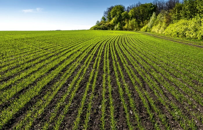 New technological methods will be able to provide estimates of how much carbon is in fields.