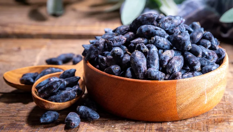 Haskap berries: The cold-hardy superfood