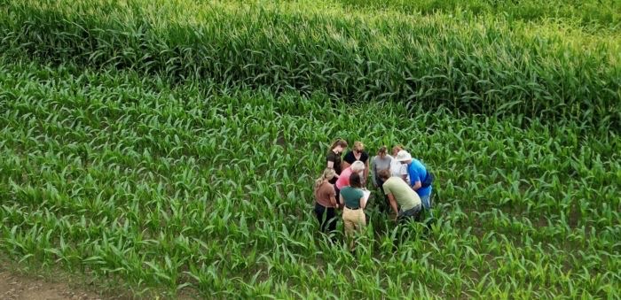 Master of Sustainable Agriculture launched by U of G