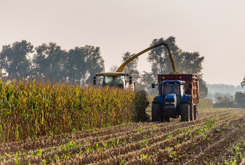 Corn silage quality was definitely a hot topic of conversation this year, says Grand Valley Fortifiers ruminant nutritionist Jeff Vandendool.